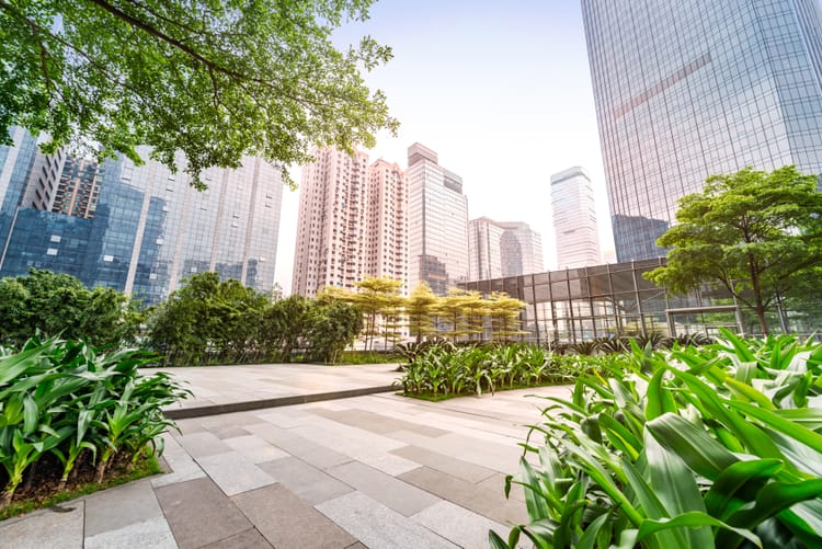 Rethinking Rain: How Cities Can Turn Stormwater from Problem to Asset